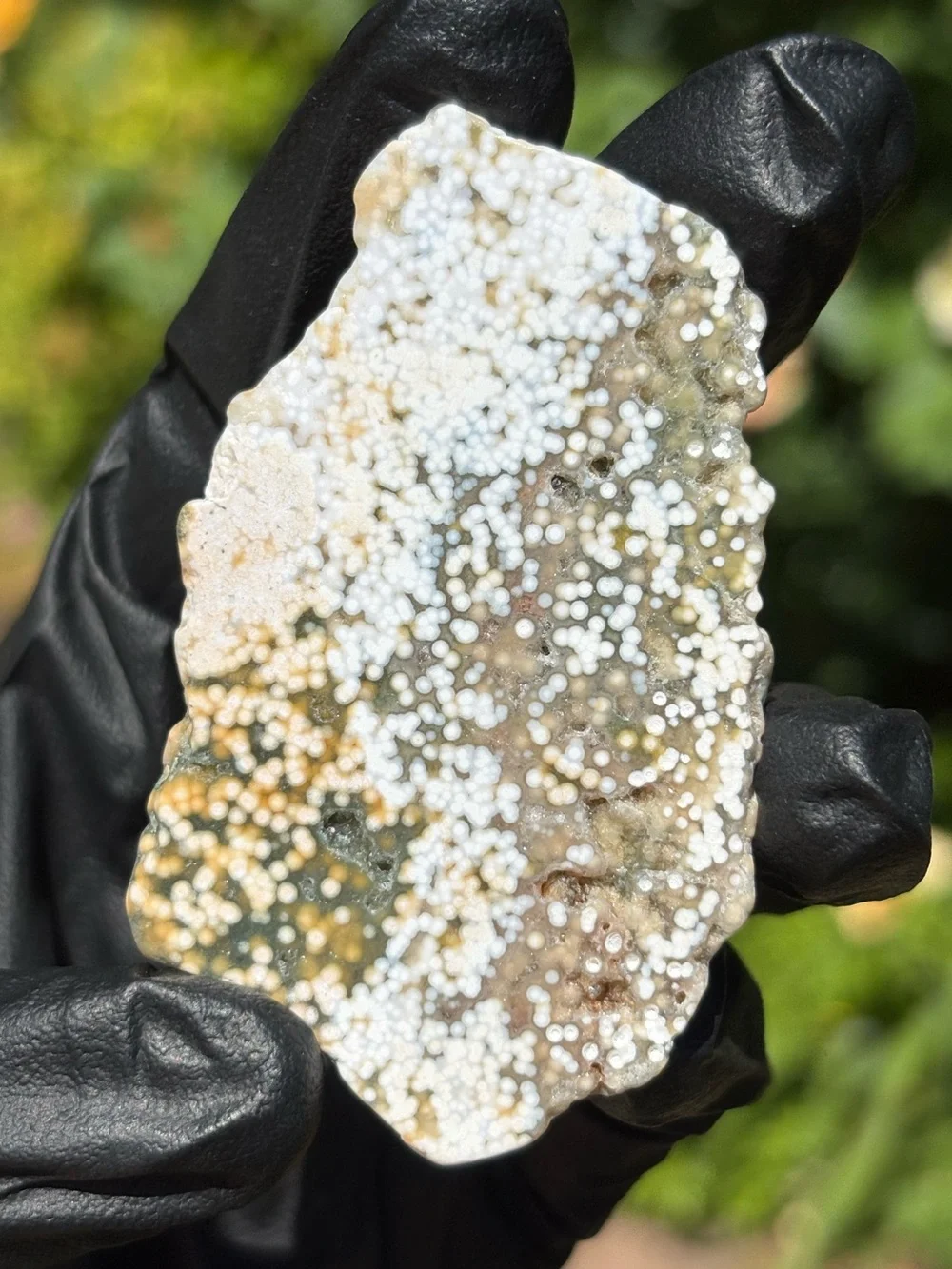 Ocean Jasper Druzy Crystal Slab - Orbicular Jasper - Polished Sea Jasper
